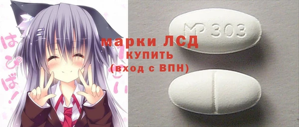 индика Аркадак