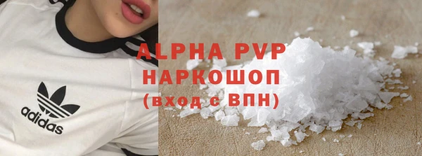 индика Аркадак