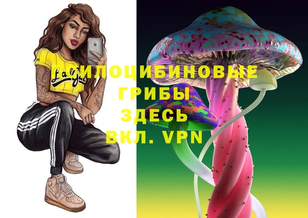 стафф Армянск