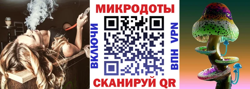 купить  цена  Бакал  Псилоцибиновые грибы мицелий 