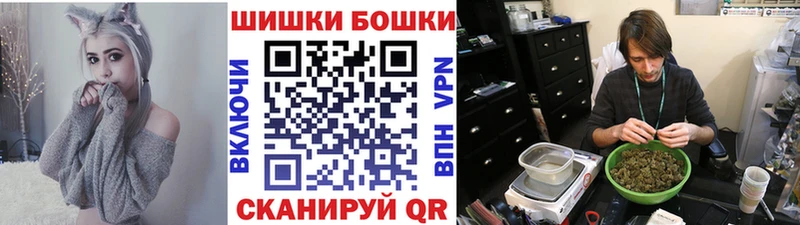KRAKEN как зайти  Бакал  Бошки марихуана сатива 